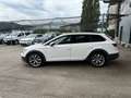 SEAT Leon ST X-Perience 1,6 TDI CR 4Drive Weiß - thumbnail 3