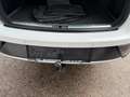 SEAT Leon ST X-Perience 1,6 TDI CR 4Drive Weiß - thumbnail 22
