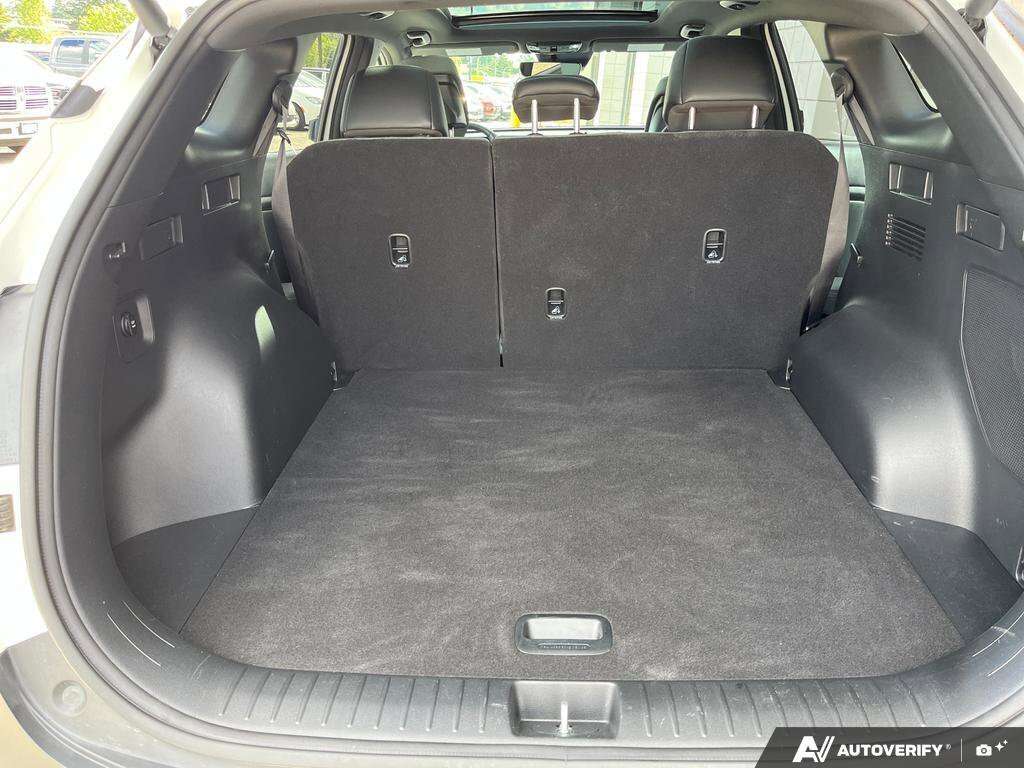 used 2025 Kia Sportage car, priced at $36,888