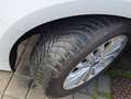 Ford Focus 1.5Ecoblue Titanium 120 Blanco - thumbnail 12