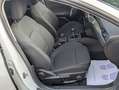Ford Focus 1.5Ecoblue Titanium 120 Blanco - thumbnail 9