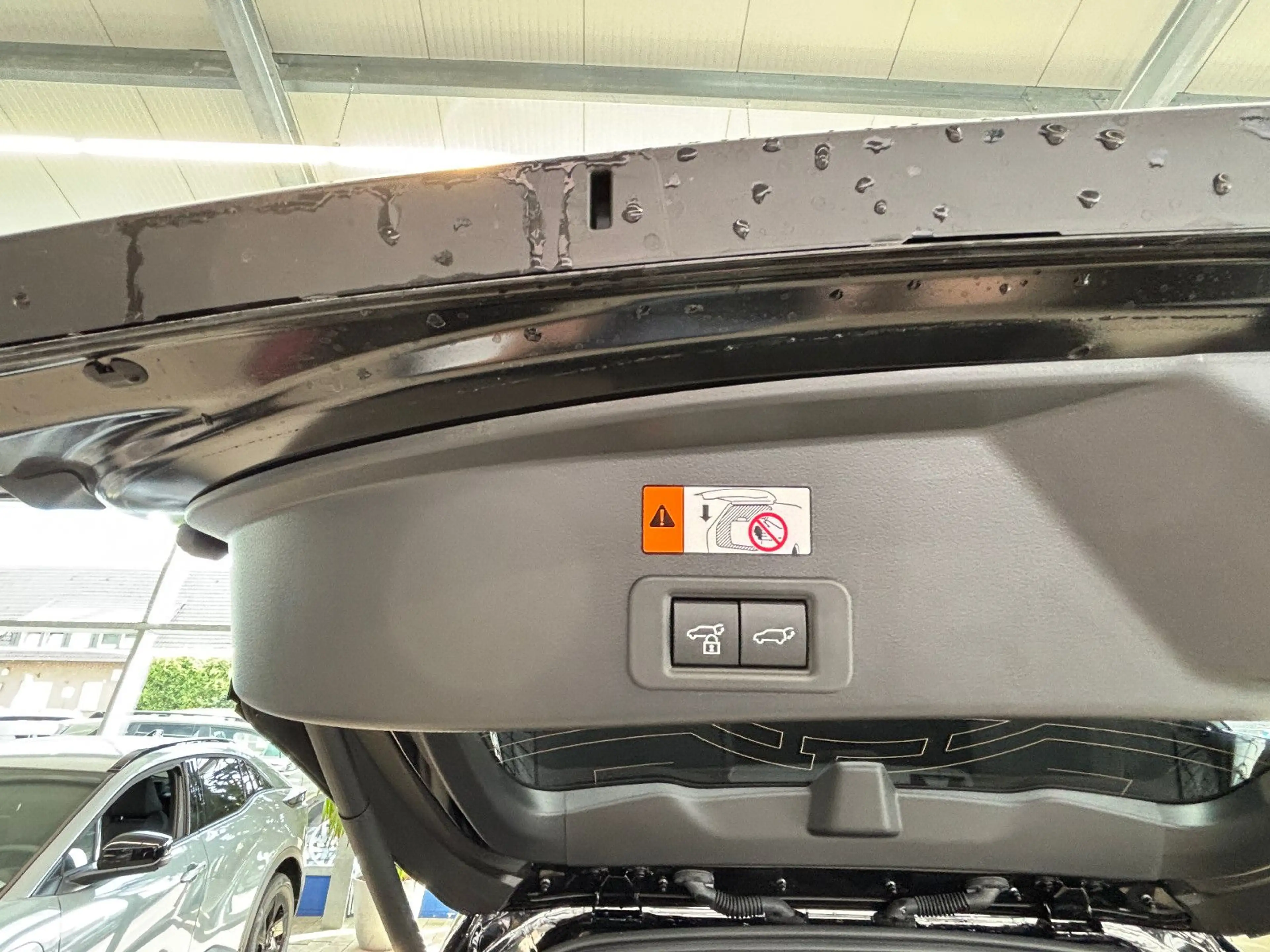 Subaru OUTBACK E-Outback Platinum — photo 8