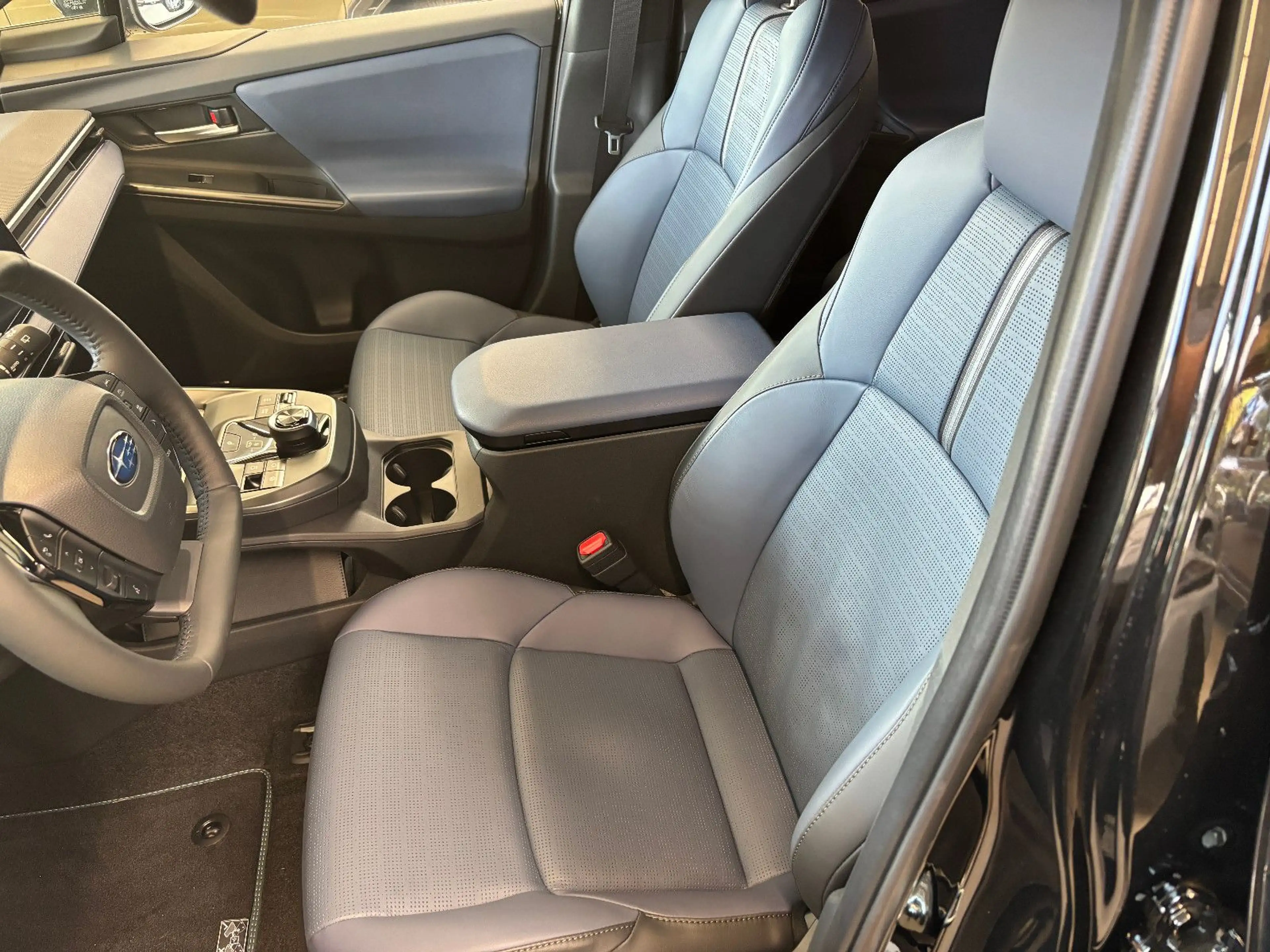 Subaru OUTBACK E-Outback Platinum — photo 14