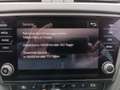 Skoda Octavia Combi Tour Navi AHZV Klima LED SHZ Weiß - thumbnail 12