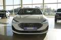 Ford Focus Turnier Titanium 1,0 155PS Aut.Navi/LED/Temp/Pdc White - thumbnail 2