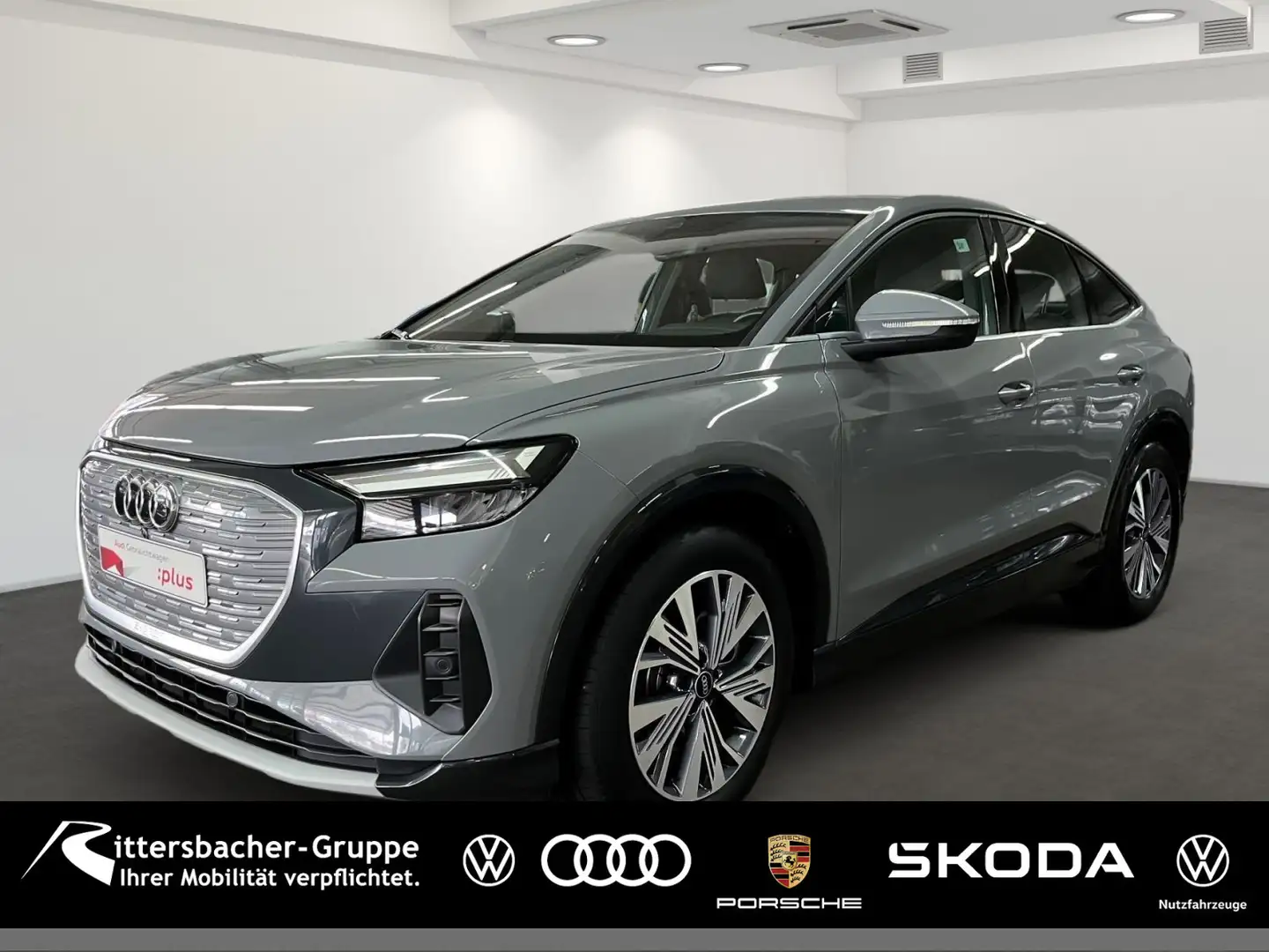 Audi Q4 e-tron 50 quattro Navi AssistenzPak Grau - 1