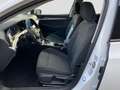 Volkswagen Golf Variant Golf VIII Variant 2.0TDI DSG Life LED Navi PDC Weiß - thumbnail 10