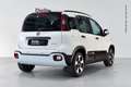 Fiat Panda Panda 1.0 FireFly S&S Hybrid Pandina Bianco - thumbnail 2