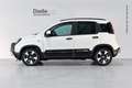 Fiat Panda Panda 1.0 FireFly S&S Hybrid Pandina Bianco - thumbnail 3