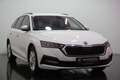 Skoda Octavia 1,0 TSI / NAVI / LED / KEYLESS / Sitzheizung Weiß - thumbnail 1