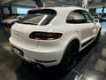 Porsche Macan Macan 3.6 Turbo 400cv pdk CARBON PACK AKRAPOVIC Blanco - thumbnail 6