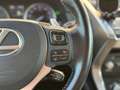 Lexus NX 300h AWD Luxury Line | Schuif/Kanteldak | Cruise Contro Grijs - thumbnail 16