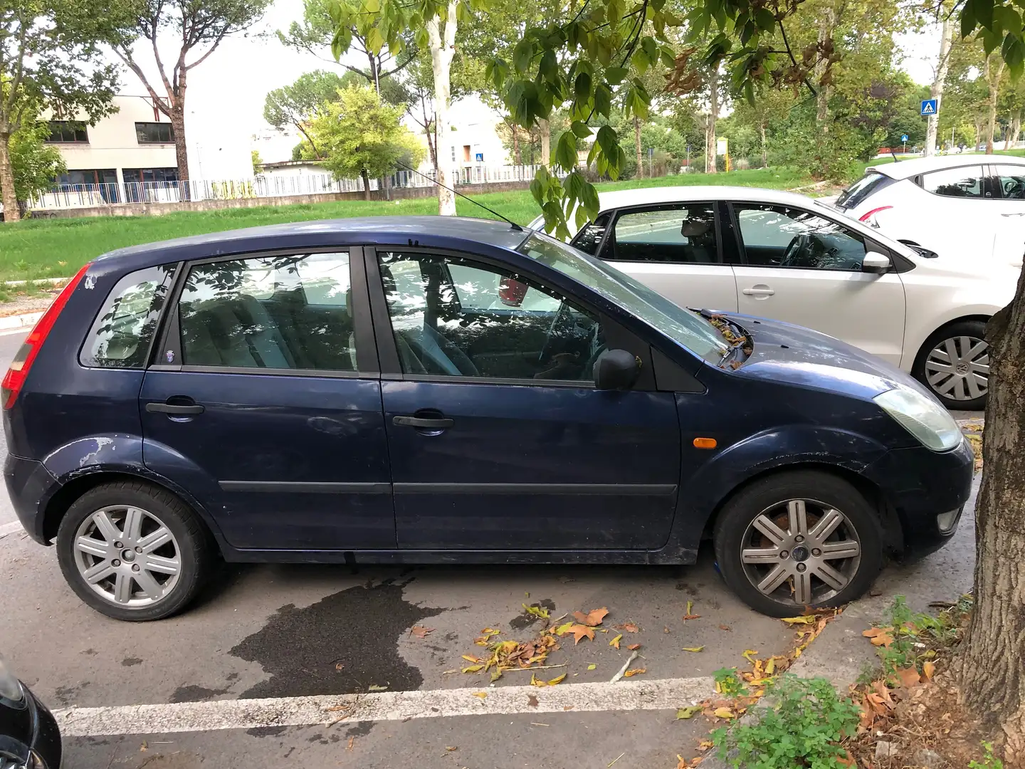 Ford Fiesta Fiesta 5p 1.4 16v Ghia Blu/Azzurro - 2