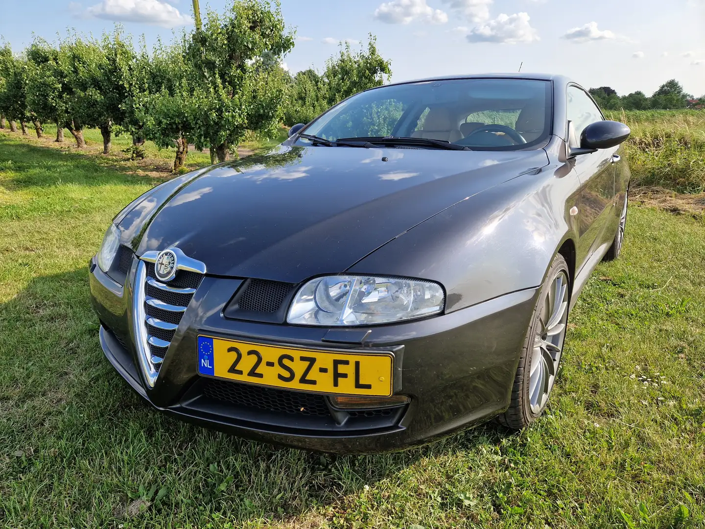Alfa Romeo GT GT 3.2 V6 Distinctive Серый - 2