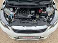 Peugeot 108 1.2i TOP Allure Faltdach SHZ 2. Hand Білий - thumbnail 10