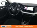 Skoda Octavia 2.0 TDI Style Blau - thumbnail 13