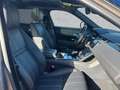 Land Rover Range Rover Velar Range Rover Velar D300 R-Dyn.HSE 22"Pano WinterP Goud - thumbnail 3