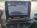 Ford EcoSport 1.0  125 CV Titanium Rot - thumbnail 8