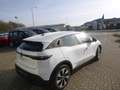 Renault Megane E-Tech 100% ele Paket Evolution ER EV60 130 Weiß - thumbnail 5