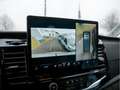 Ford Transit 350L3 Trend ExpressLine ACC NAVI 360° Grau - thumbnail 8