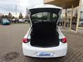 Opel Insignia B Grand Sport 140PS Edition AGR-Sitze Weiß - thumbnail 15