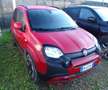 Fiat Panda Cross 1.0 FireFly S&S Hybrid Rosso - thumbnail 3