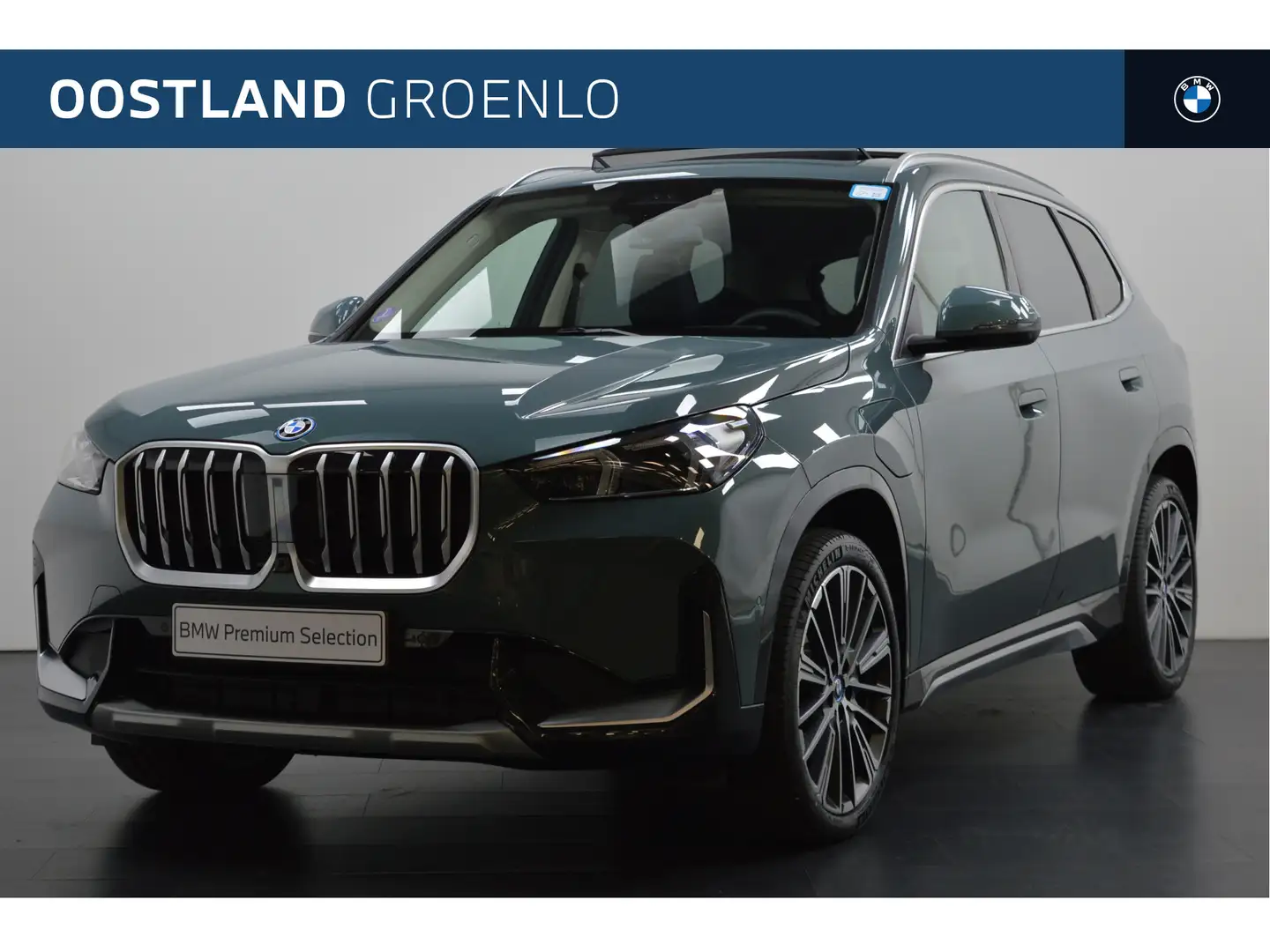 BMW X1 xDrive25e Automaat / Panoramadak / Comfort Access Groen - 1
