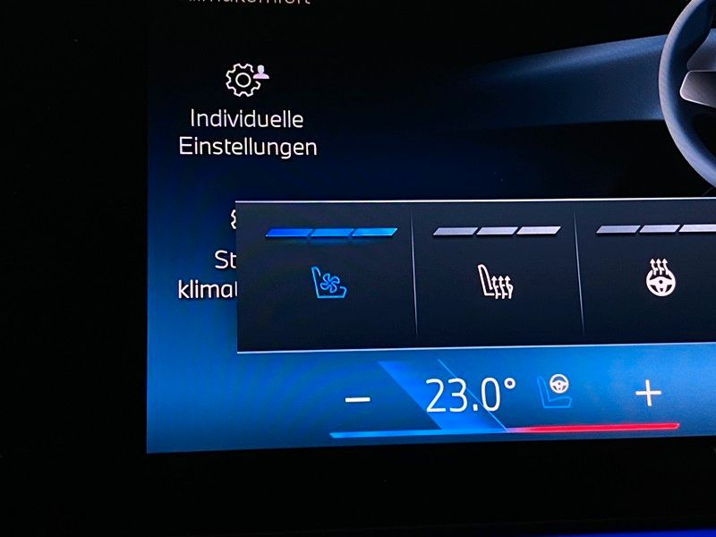 BMW 550 e Lim xDr. M-Sport SurrView Sbel HUD AHK ACC — photo 30