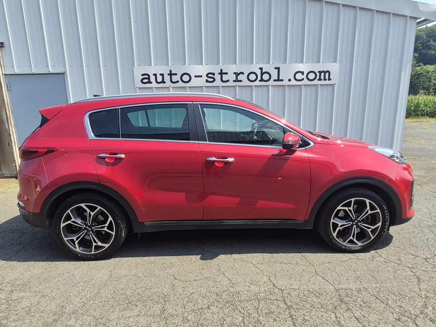 Kia Sportage 1,6 CRDI SCR MHD GT-Line *Panoramadach* Rot - 2