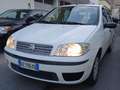 Fiat Punto Punto II 2009 5p 1.2 Active Gpl Bianco - thumbnail 2