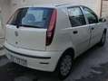 Fiat Punto Punto II 2009 5p 1.2 Active Gpl Bianco - thumbnail 4