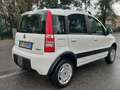 Fiat Panda 1.4 natural power Climbing Bianco - thumbnail 8