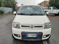 Fiat Panda 1.4 natural power Climbing Bianco - thumbnail 12