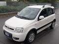 Fiat Panda 1.4 natural power Climbing Bianco - thumbnail 2