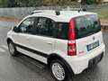 Fiat Panda 1.4 natural power Climbing Bianco - thumbnail 1
