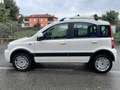 Fiat Panda 1.4 natural power Climbing Bianco - thumbnail 5