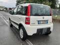 Fiat Panda 1.4 natural power Climbing Bianco - thumbnail 6