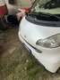 smart forTwo Cabrio 1.0 Passion 71cv Bianco - thumbnail 14