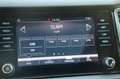 Skoda Kodiaq 1.5 TSI Limited Business Edition org.NL leer+vw pa Noir - thumbnail 19