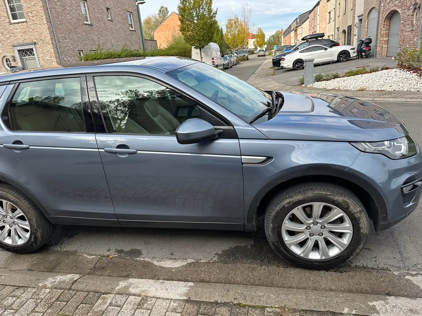 Land Rover Discovery Sport Discovery Sport 2.0 TD4 HSE Luxury (EU6d-TEMP) Bleu - 1