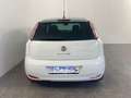 Fiat Punto 1.4 8V Easy 57 kW (77 PS), Schalt. 5-Gang - thumbnail 17