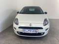 Fiat Punto 1.4 8V Easy 57 kW (77 PS), Schalt. 5-Gang - thumbnail 18