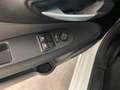 Fiat Punto 1.4 8V Easy 57 kW (77 PS), Schalt. 5-Gang - thumbnail 11