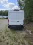 Ford Transit L2H2 Motorschaden Wit - thumbnail 8