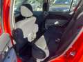 Daihatsu Sirion 2010 1.0 BENZ/GPL*OK NEOPATENTATI * Rosso - thumbnail 8