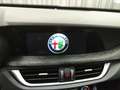 Alfa Romeo Stelvio 2.2 TD 160CV SUPER Grigio - thumbnail 21