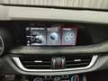 Alfa Romeo Stelvio 2.2 TD 160CV SUPER Grigio - thumbnail 22