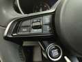 Alfa Romeo Stelvio 2.2 TD 160CV SUPER Grigio - thumbnail 16