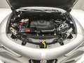 Alfa Romeo Stelvio 2.2 TD 160CV SUPER Grigio - thumbnail 47