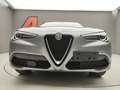 Alfa Romeo Stelvio 2.2 TD 160CV SUPER Grigio - thumbnail 45